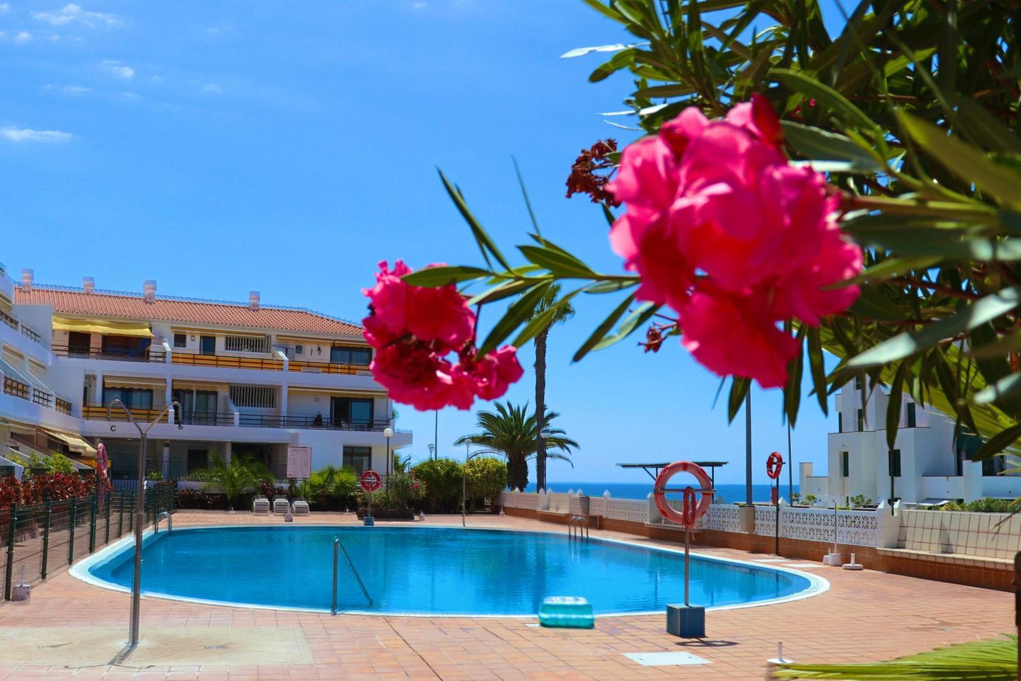 Sunflower Apartment Just Relax Puerto de Santiago  Luaran gambar